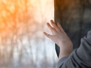 Películas de privacidade para carros em Uberlândia